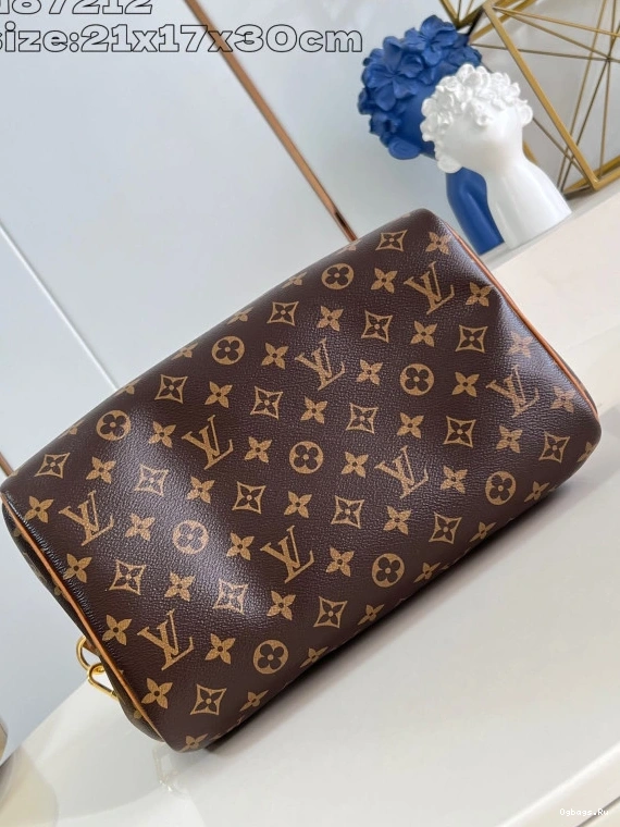 30 Speedy Soft Vuitton Boho Louis 0105